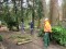 3 Bilder vor