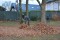 2 Bilder vor