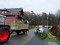 Bild vor