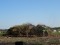 2 Bilder vor