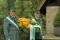 4 Bilder zurück