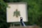 3 Bilder vor