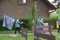 4 Bilder vor