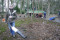 Bild vor