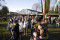3 Bilder vor