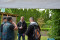 4 Bilder vor