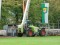 Bild vor