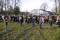 3 Bilder vor