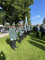 aktuelles Bild