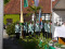 Bild vor