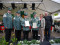 aktuelles Bild