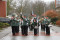4 Bilder vor