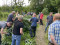 3 Bilder vor