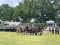 2 Bilder vor