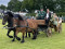3 Bilder vor