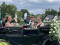 3 Bilder vor