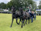 3 Bilder vor